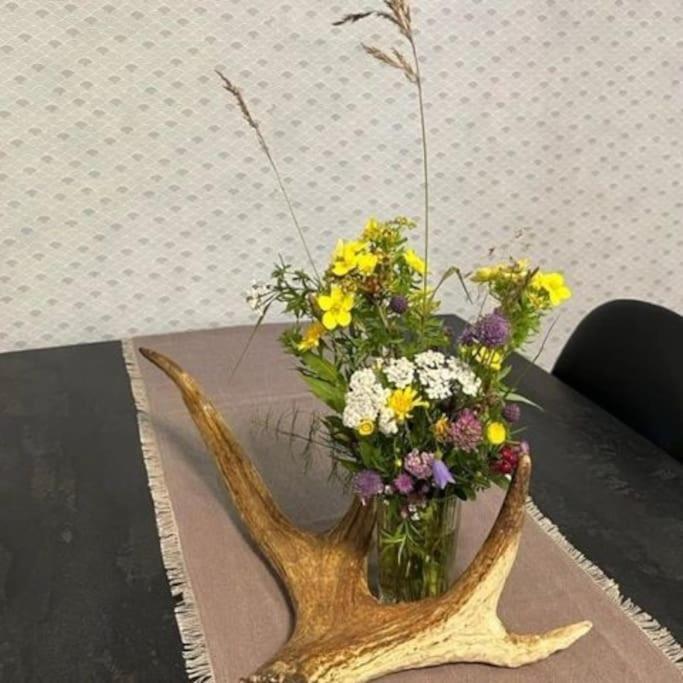 Familienfreundliche Farm Stuga Hamra  Exteriör bild